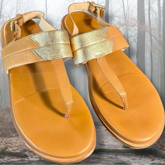 Cole Haan ‘Ainsley Grand T-Strap Sandals’ in Tan & Gold Metallic Leather Size 7 - Picture 12 of 16